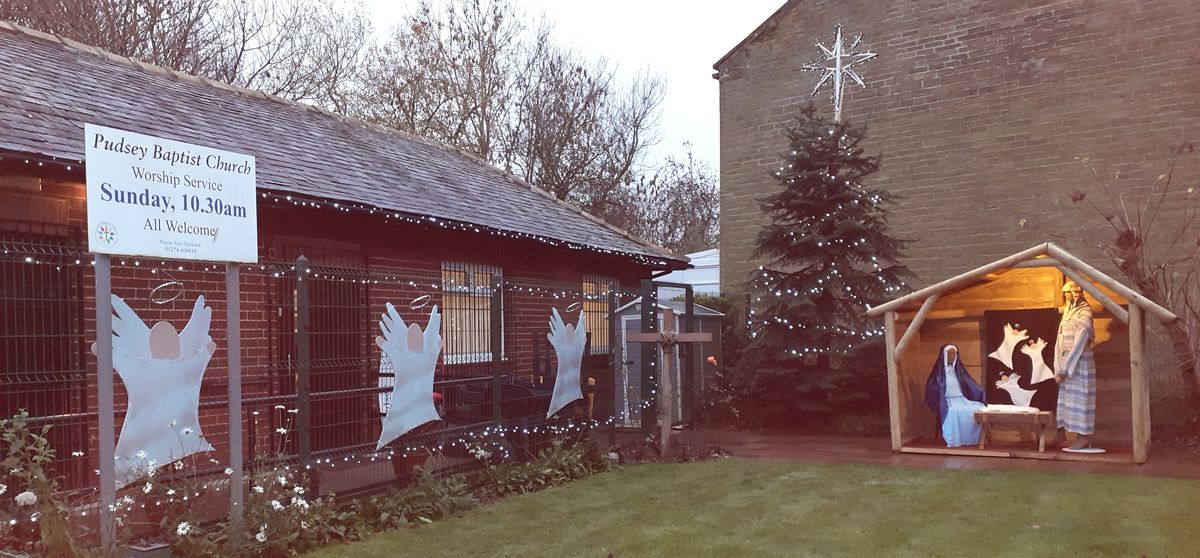 Christmas Lights Display